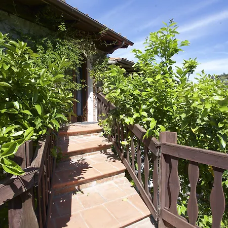 Cotoncello SantʼAndrea
